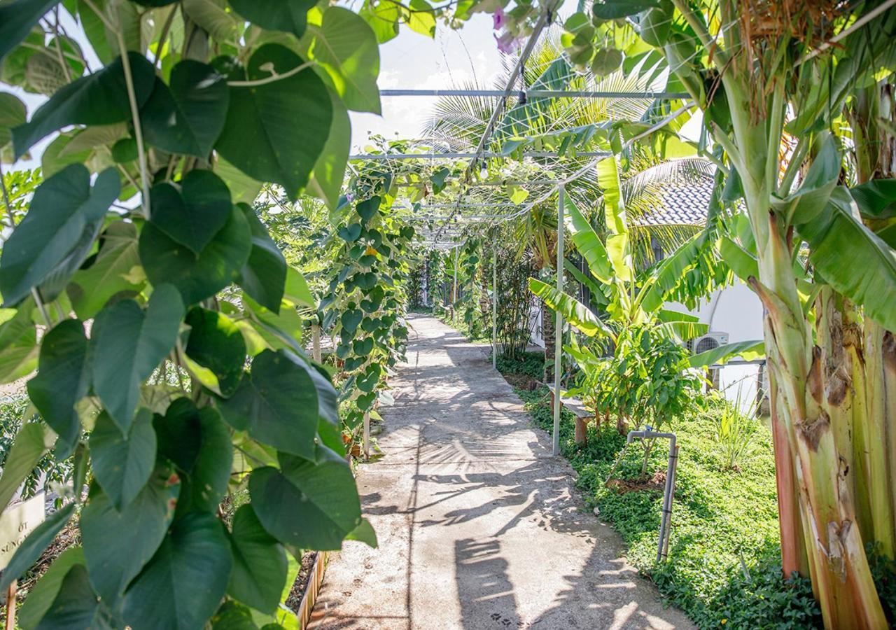 Lua Farmstay Ba Ria Exteriér fotografie